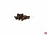 Rundkopf PT-Schneidschrauben Kreuz f�r Kunststoffe 3x10mm