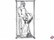 Aeronaut 855302