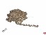Ankerkette Eisen, silber 2,4x3x0,5mm