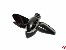 2-Blatt Schiffsschraube Metall 37mm Wellen� 3mm rechtslauf