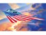 Lockheed F-117A Nighthawk "Stars and Stripes" L=285 1:72 Level 2