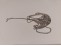 Panzerkette Messing, platin 1,3x1,8mm
