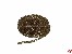Ankerkette Messing 0,6mmx1m