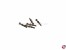 Relingst�tzen Messing (2 Durchz�ge) 6mm