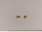 Karabiner Metallegierung, gold 5x10mm