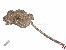 Panzerkette Messing, silber 1,3x1,8mm
