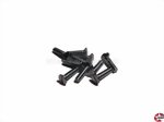 Reichelt SSK M2,5X10-200