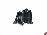 Der Fuchs 2040 2.5 20T200
