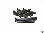 Der Fuchs 2020 4 30T200