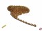 Ankerkette Eisen, gold 2x3x0,5mm