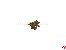 Linsensenkkopf-Gewindeschrauben Schlitz M2x6mm Messing