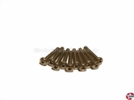 Linsenkopf-Gewindeschrauben Kreuz M3x20mm Edelstahl DIN 7985 Birkhofer 07985.2.200.030.0200