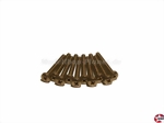 Linsenkopf-Gewindeschrauben Kreuz M3x25mm Edelstahl DIN 7985 Birkhofer 07985.2.200.030.0250