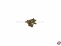 Linsensenkkopf-Gewindeschrauben Schlitz M2x6mm Messing