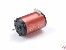 Brushless Motor Cramaxx 3650 SS, 21.5 Turns, 1600KV, Sensored