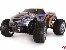 Crazist Pro Monstertruck Brushless 4WD 1:10 RTR