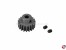 Mororritzel 19 Z�hne Modul 1 Stahl 1:8