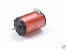 Brushless Motor Cramaxx 3650 SS, 21.5 Turns, 1600KV, Sensored