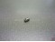 Webra 1006/116C Drosselk�cken Sport