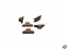 Klampe Holz 6x12mm