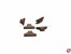Klampe Holz 6x12mm
