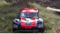 Amewi