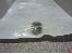 Freilauflager TGM Di=8x12mm