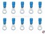 Quetschkabelschuhe Isoliert blau Ringform 1,5-2,5mm� M3