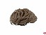 Gummiringe  �38mm 60x1,8x1,8mm natur