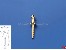 Handlaufst�tzen Messing M1x3,5mm, Bohrung 0,8mm