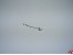 Ersatzbirne f�r Blitzer