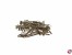 T-Nadeln vernickelt 38x1,1mm