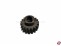 Pinion Gear, Motor-Ritzel 19T ARC Buggy Lancia 1:6