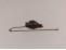 Ankerkette Messing, bronze 1,5x2x0,4mm