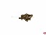 Linsenkopf-Gewindeschrauben Kreuz M3x8mm Edelstahl DIN 7985