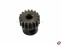 Motorritzel 17 Z�hne Stahl BasicLine