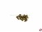 Rundkopf PT-Schneidschrauben Kreuz f�r Kunststoffe 3x8mm