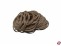 Gummiringe  �38mm 60x1,8x1,8mm natur
