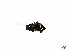Senkkopf PT-Schneidschrauben Kreuz f�r Kunststoffe 2,5x10mm
