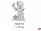 Aeronaut 855012
