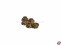 Bullauge Messing 6mm verglast mit Nieten