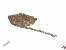 Ankerkette Messing, silber 1,5x2x0,4mm