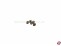 Messingperlen 4mm